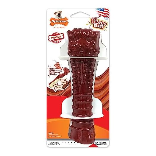 Nylabone Power Chew Basted Blast Dual Flavored Dog Chew Toys for Aggressive Chewers - Durable Dog Bones with 2 Layers of Flavor - Bacon and Steak Flavor, X-Large/Souper (1 Count)