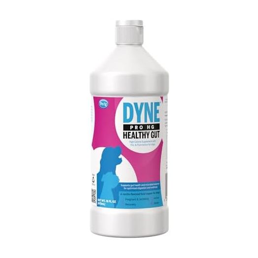 PetAg Dyne PRO HG Healthy Gut for Dogs & Puppies 8 Weeks & Older - 16 oz - High Calorie Liquid Nutritional Supplement with Pre- & Post-Biotics - Supports Endurance & Gut Health - Sweet Vanilla Flavor