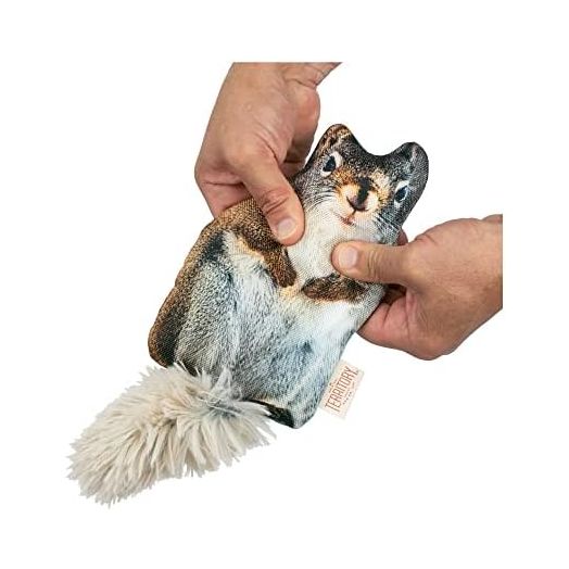 Territory Floppy Squirrel Dog Toy