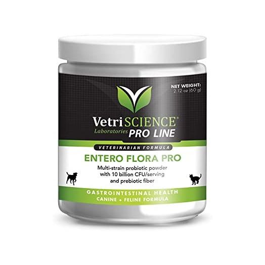 VetriScience Entero Flora Pro Powder - Multi-Strain Probiotic Supplement for Cats and Dogs - 60 Grams