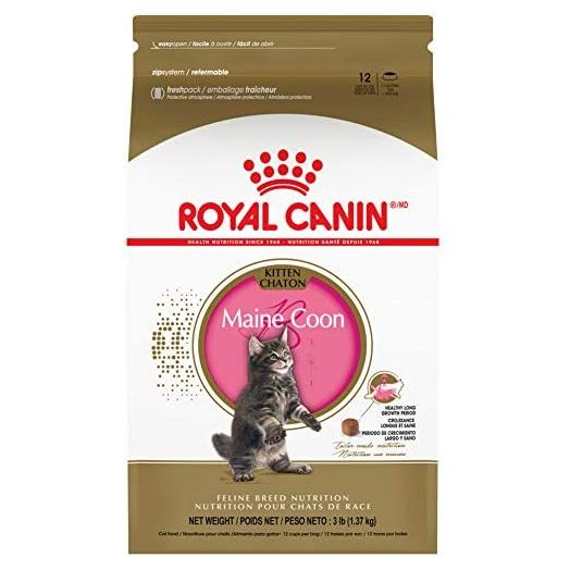 Royal Canin Maine Coon Breed Dry Kitten Food