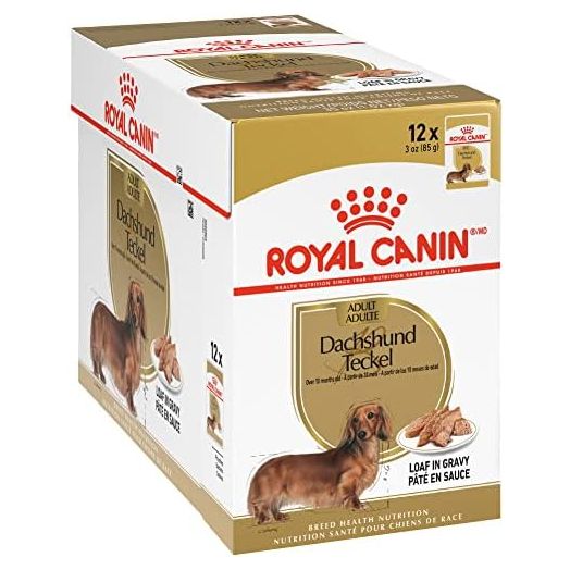 Royal Canin Breed Health Nutrition Dachshund Loaf in Gravy Pouch Dog Food, 3 oz pouch (12-count)