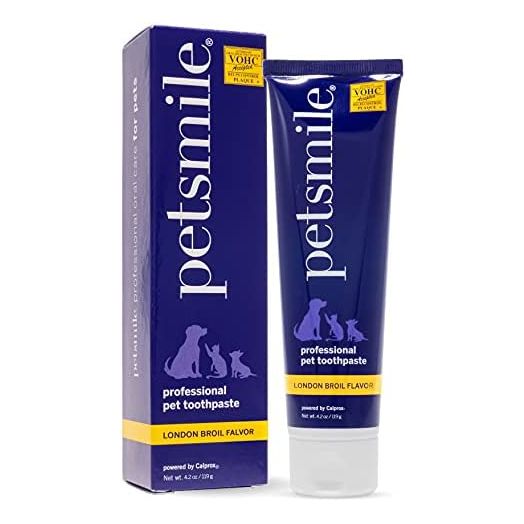 Petsmile Professional Dog Toothpaste | VOHC Approved Flavored Pet Toothpaste with Plaque Control | Human-Grade Ingredients Clean Teeth & Improves Dental Health (London Broil, 4.2 Oz)
