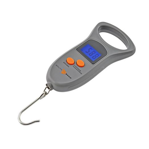 South Bend 50-Pound Digital Scale