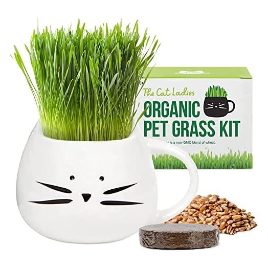 Organic Cat Grass Growing kit with Organic Seed Mix, Organic Soil and Cat Planter. Natural Hairball Control and Remedy. Manufactured in The USA.