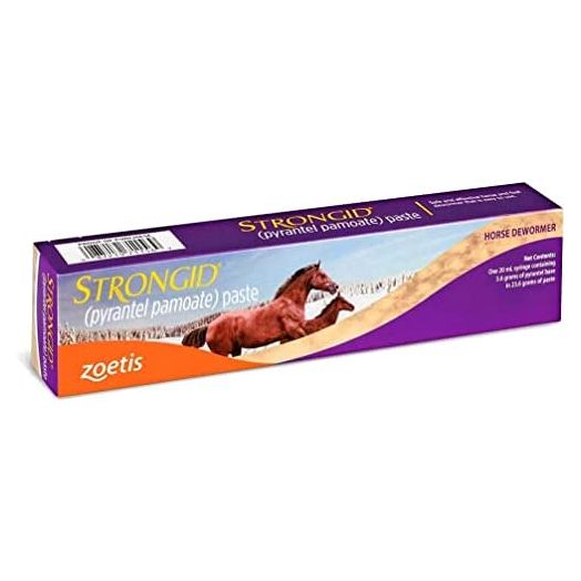 Zoetis 23.6 GMS Strongid Paste Contains 43.9% Pyrantel Pamoate for Use in Horses and Foals