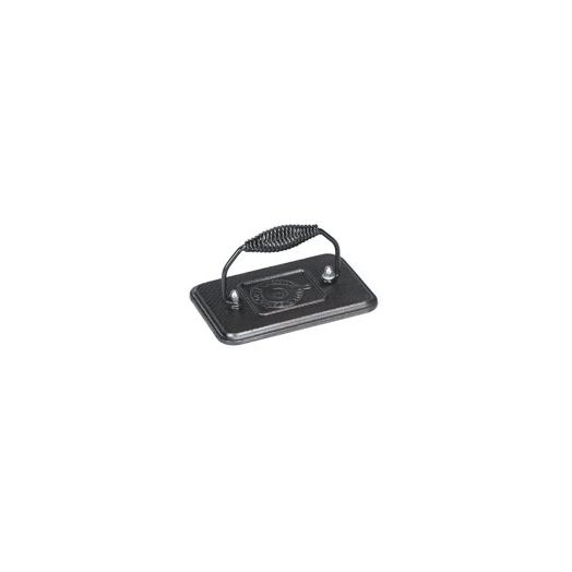 Lodge Cast Iron 6.75 In. x 4.5 In. Grill Press, Black