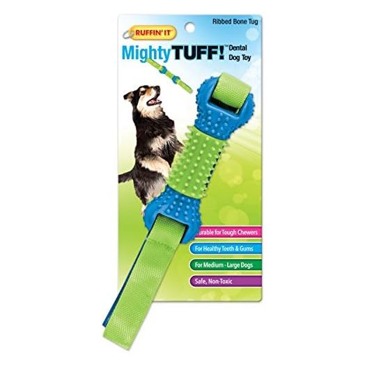 RHODE ISLAND TEXTILE 80622 Dental Bone Pet Toy, 13"