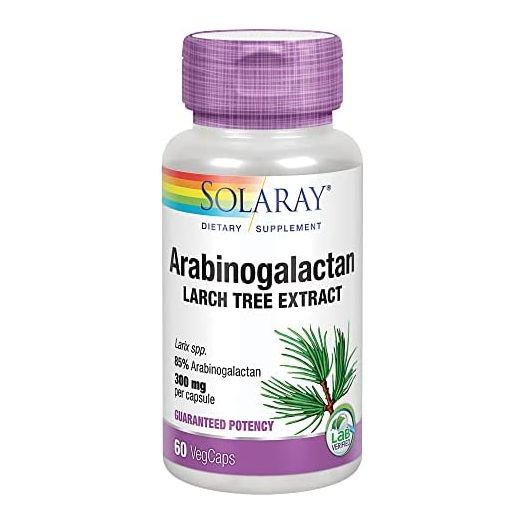 Solaray Arabinogalactan, Larch Tree Extract 300mg | Prebiotic Fiber for Healthy Gut & Immune System Support | 60 VegCaps