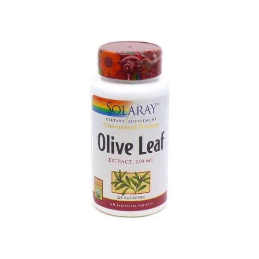 Solaray Olive Leaf Extract 22% 250 mg Capsules, 120 Ct