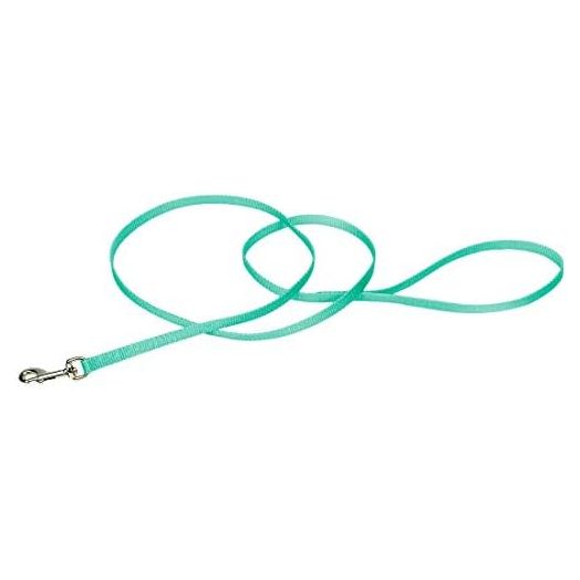 Coastal Pet Single-Ply Dog Leash - Leashes for Puppies & Dogs - Fade-Resistant Dog Leash - Features a Bolt Snap - Pet Supplies for Dogs - Teal, 3/8" x 6'