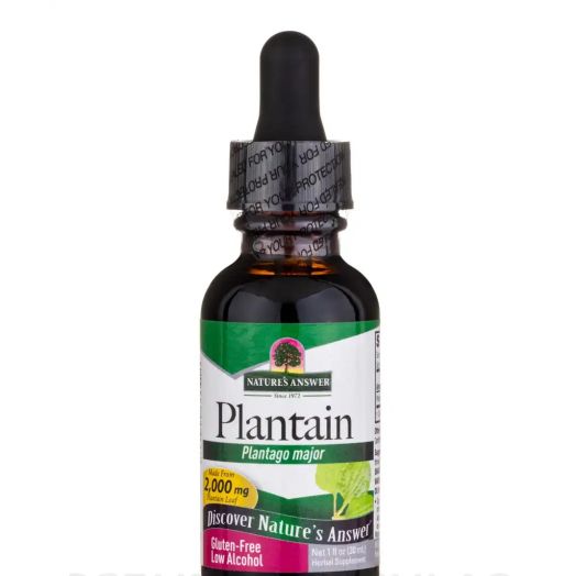 Nature's Answer Plantain (Plantago major) - 1 fl. oz (30 ml)