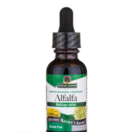 Nature's Answer Alfalfa Extract (Alcohol Free) - 1 fl. oz (30 ml)