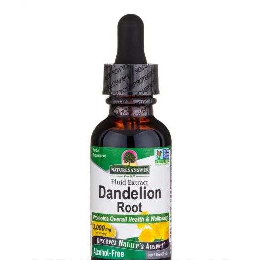 Nature's Answer Dandelion Root Extract (Alcohol-Free) - 1 fl. oz (30 ml)
