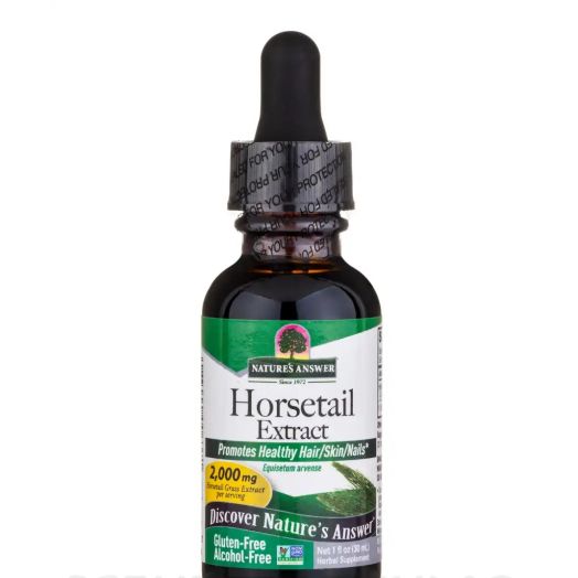 Nature's Answer Horsetail Herb Extract (Alcohol-Free) - 1 fl. oz (30 ml)
