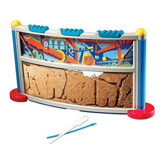 Educational Insights GeoSafari Ant Factory, Observe Live Ants (voucher included to order free ants) in Habitat, STEM Learning, Ages 5+