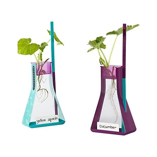 Educational Insights Nancy B's Science Club Way to Grow Hydroponics Kit & Gardening Diary