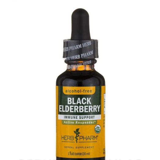 Herb Pharm Black Elderberry Alcohol-Free - 1 fl. oz (30 ml)
