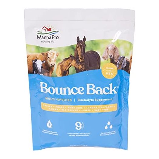 Manna Pro Bounce Back Multi-Species Electrolyte Supplement