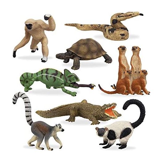 TOYMANY 11PCS Madagascar Jungle Animals Figurines Toy with Meerkat Lemur Chameleon Crocodile-Jungle Forest Zoo Animal Figures Set, Christmas Birthday Gift Party Favor School Project for Kids Toddlers
