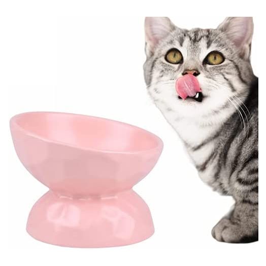 Raised Cat Bowl, Tilted Elevated Cat Food Bowls, Ceramic Nonslip Cat Bowls