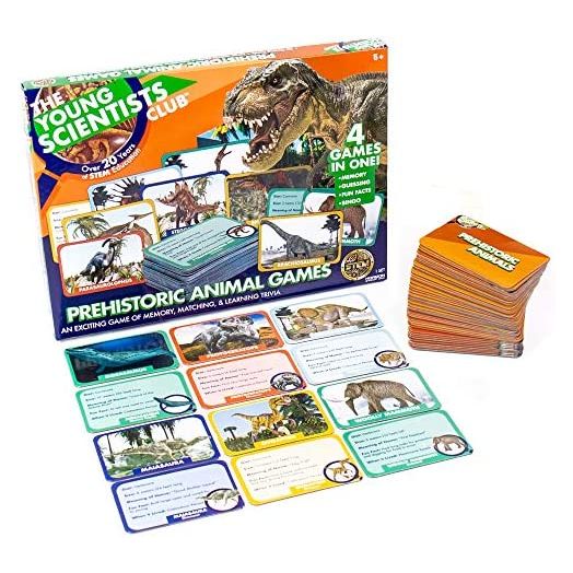 The Young Scientist Prehistoric Animal Card Games, 4 Prehistoric Card Games