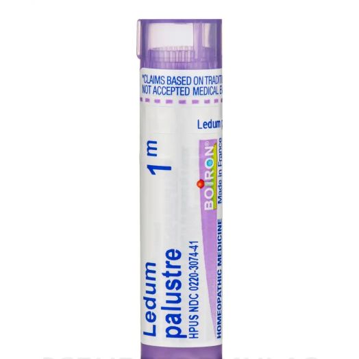 Boiron Ledum Palustre 1M for Insect Bites or Bruising, 80 Pellets