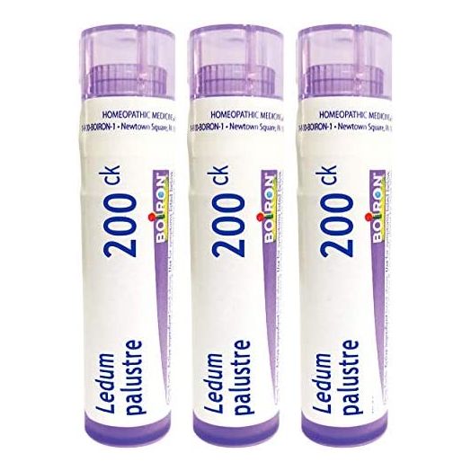 Boiron Ledum Palustre 200ck Homeopathic Medicine for Insect Bites or Bruising, (240 Pellets) (Pack of 3)