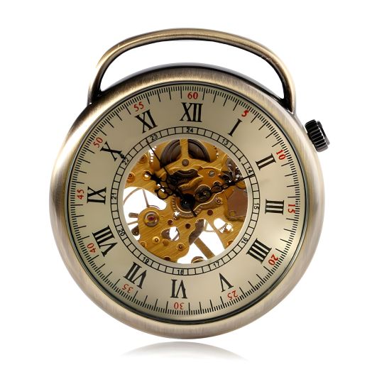 Carrie Hughes Pocket Watch Steampunk Skeleton Hand-Wind Roman Numerals Antique Chain for Mens Womens CH336