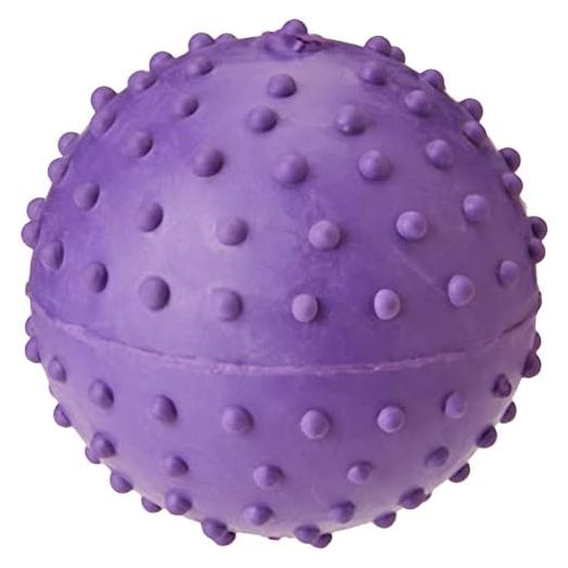 Classic for Dogs Pimple Ball with Bell, 60 mm, Purple