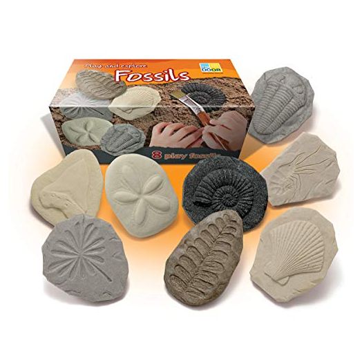 Yellow Door Let's Investigate Fossil Stone, Pack of 8