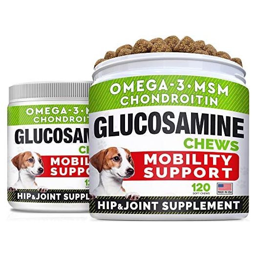 (2 Pack) Glucosamine Treats for Dogs - Joint Supplement w/ Omega-3 Fish Oil - Chondroitin, MSM - Advanced Mobility Chews - Joint Pain Relief - Hip & Joint Care - Chicken Flavor - 240 Ct - Made in USA
