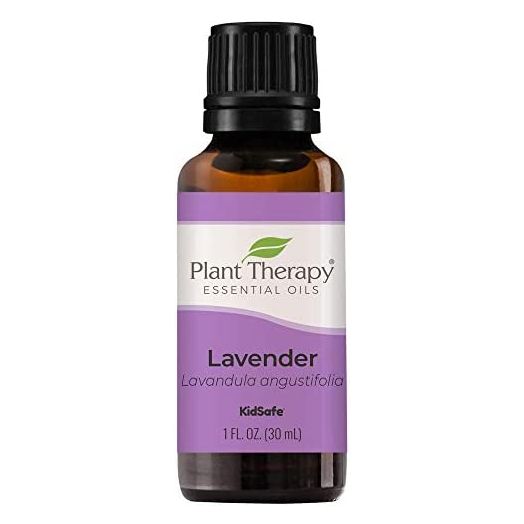Plant Therapy Lavender Essential Oil 100% Pure, Undiluted, Natural Aromatherapy, Therapeutic Grade 30 mL (1 oz)