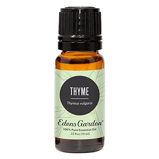 Edens Garden Thyme Essential Oil, 100% Pure Therapeutic Grade (Undiluted Natural/ Homeopathic Aromatherapy Scented Essential Oil Singles) 10 ml