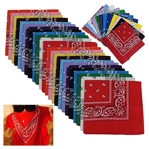 BSLINO Bandanas 24pcs 22 X 22 Inch 100% Cotton Bandana Novelty Double Sided Print Paisley Cowboy Bandana Party Favor Scarf Headband Handkerchiefs Two Dozen
