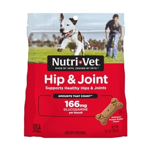 Nutri-Vet Hip & Joint Biscuits for Dogs - Tasty Dog Glucosamine Treat & Dog Joint Supplement - Small Sized Biscuit with 166mg Glucosamine - 19.5 oz - (Package May Vary)