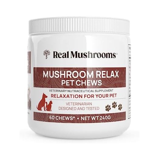 Real Mushrooms Calming Chews for Dogs - Cat & Dog Calming Treats w Reishi & Lion's Mane, Calming Treats for Dogs, Calming Chews for Relaxation, Calming Bites for Pet, Calming Cat Treats - 60ct