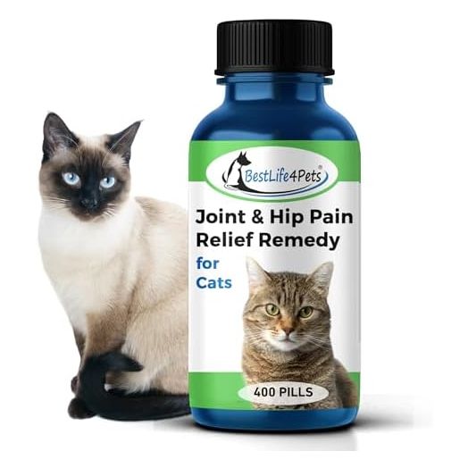 BestLife4Pets Cat Hip and Joint Supplement - Relief from Pain, Inflammation, and Injuries - Improve Mobility - No odor or Taste - All Natural Easy To Use and Swallow - Pills