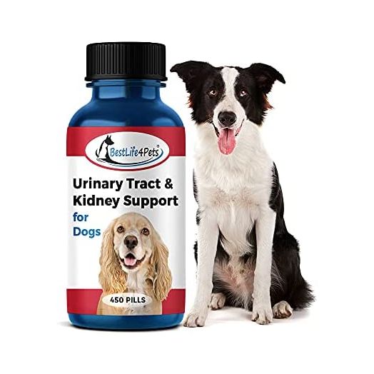 BestLife4Pets Dog UTI Kidney Support - Natural Urinary Tract Infection Treatment – Renal and Bladder Control Supplement – Easy to Use Pills