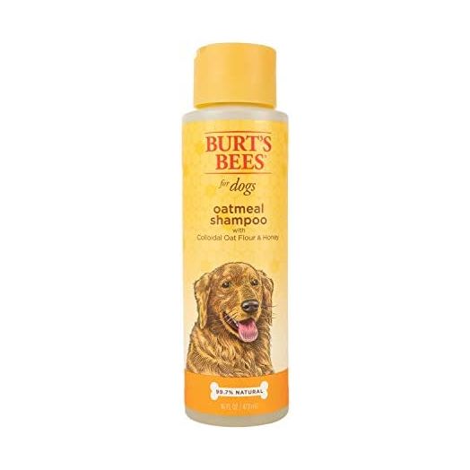 Burt's Bees for Dogs Natural Oatmeal Shampoo for Dogs, Colloidal Oat Flour & Honey - Oatmeal Dog Shampoo - Dog Grooming Supplies, Dog Bathing Supplies, Dog Shampoo, Dog Wash, Pet Shampoo