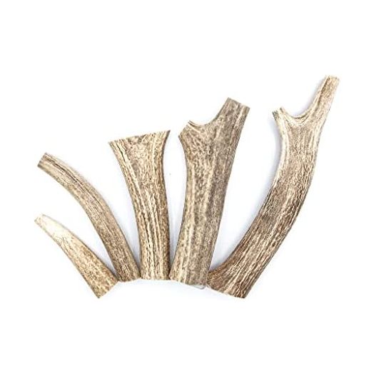 Elk Antler Bone for Dogs - Natural Four Brothers Elk Antlers - Odor and Dirt Free Antler Bone for Your Pets - Excellent for All Breeds of Dogs