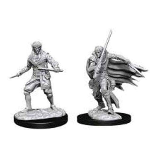 WizKids Pathfinder Deep Cuts Unpainted Miniatures: Wave 10: Male Elf Rogue