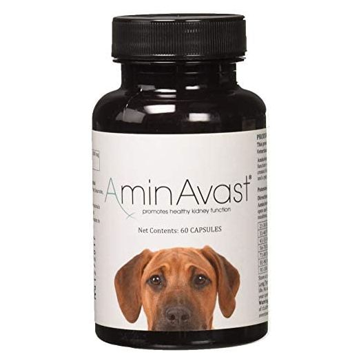 AminAvast Kidney Support Supplement for Cats and Dogs, 1000mg - Promotes Natural Kidney Function - Aids in Health and Vitality of Aging Kidneys - Easily Administered - 60 Sprinkle Capsules