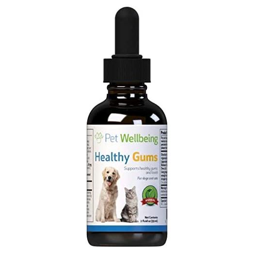 Pet Wellbeing - Healthy Gums for Cats - Natural Support for for Healthy Gums, Teeth and Breath in Felines - 2oz (59ml)