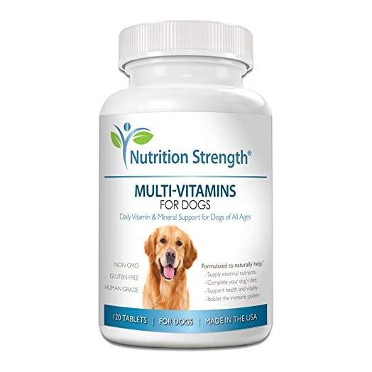 Nutrition Strength Multivitamins for Dogs, Daily Vitamin and Mineral Support, Nutritional Dog Supplements for All Canine Breeds and Sizes, Promotes Immune Health in Pets, 120 Chewable Tablets
