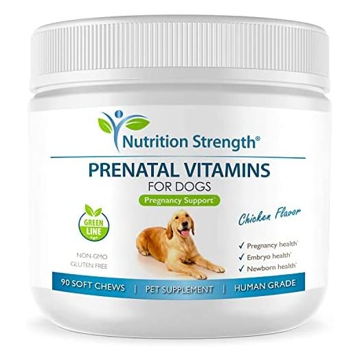 Nutrition Strength Prenatal Vitamins for Dogs to Support Development of Healthy Puppies, Promote Milk Production, with Folic Acid, Iron, Zinc, Iodine, B Vitamins for Pregnant Dogs, 90 Soft Chews