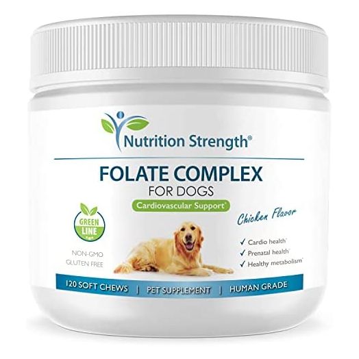 Nutrition Strength Folate for Dogs to Promote Cardiovascular & Prenatal Health, Support DNA Synthesis & Cell Maintenance, Folic Acid for Dogs with Zinc, Biotin, Iron & Vitamin B12, 120 Soft Chews