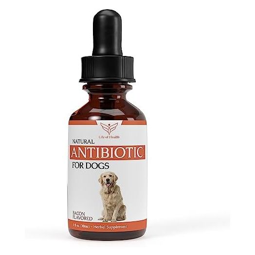 Natural Dog Antibiotics | Antibiotics for Dogs | Helps Support a Healthy Immune System | Supports Dog Allergy Relief | Dog Itch Relief | Dog Multivitamin | Pet Antibiotics | Dog Antibiotic | 1 fl oz