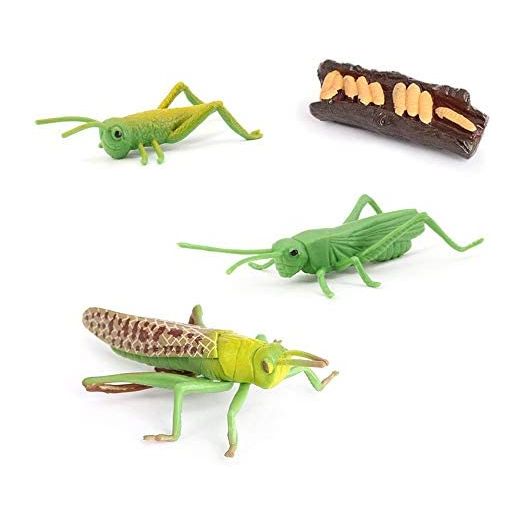 MODEBESO® 4PCS Locust Animal Life Cycle,Insect Growth Cycle Model,Hand Painting Animal Figures,Educational Toy,Cake Toppers Christmas Birthday Gift for Kids Todllers (Locust(B))