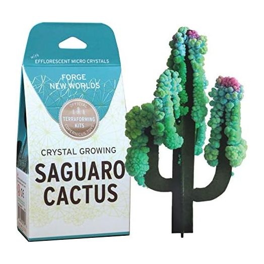 Crystal Growing Saguaro Cactus Official Terraformer kit | Grows in Hours | Facts and Instructions Included